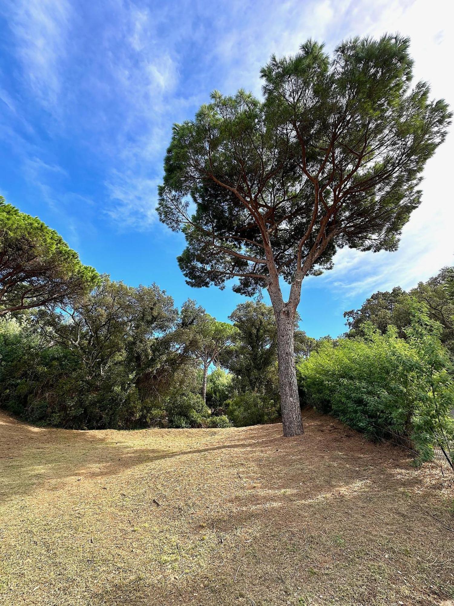 Villa Boca A Gigaro - Avec Vue Et Piscine Chauffee La Croix-Valmer Exteriör bild